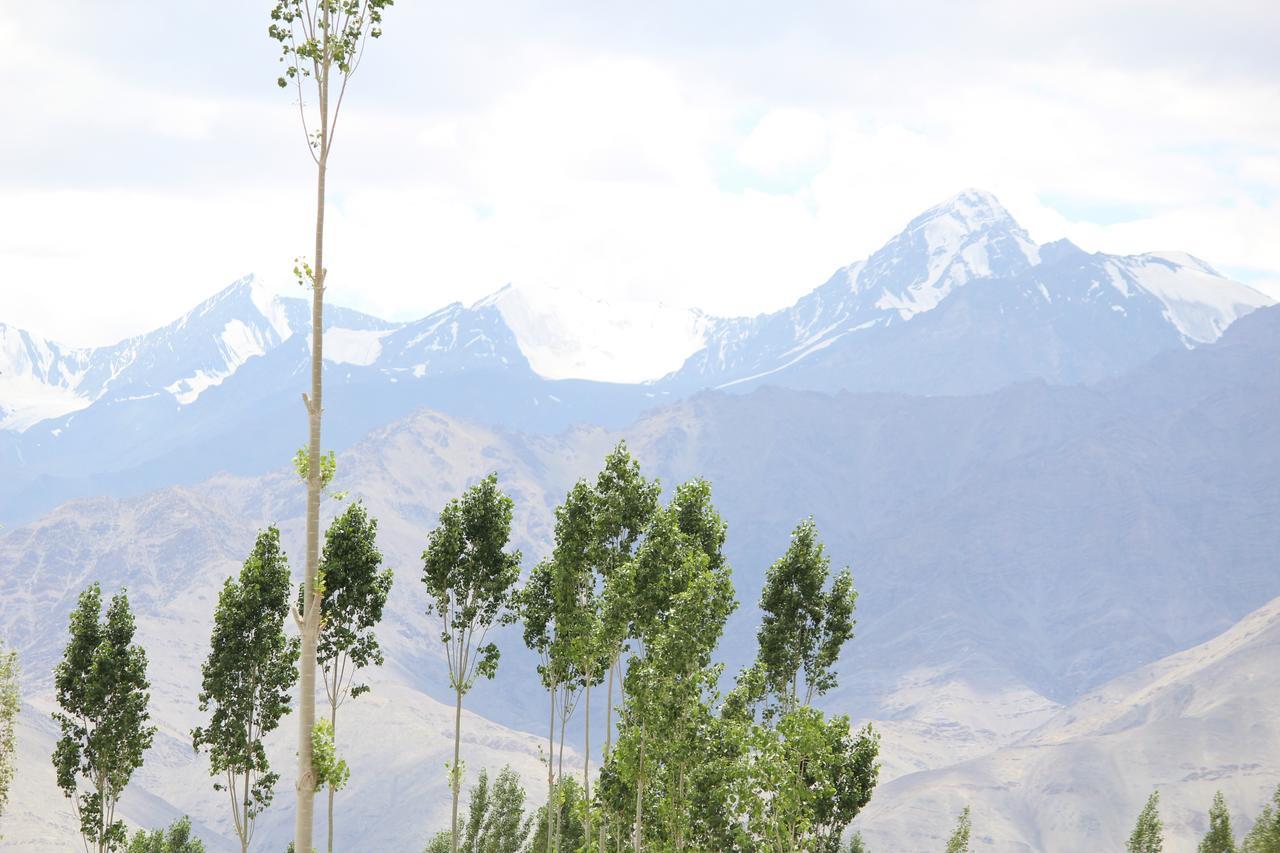 ليه Hotel Kasdar Ladakh المظهر الخارجي الصورة